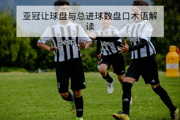 CBA球队轮换名单与关键轮换得分效率数据