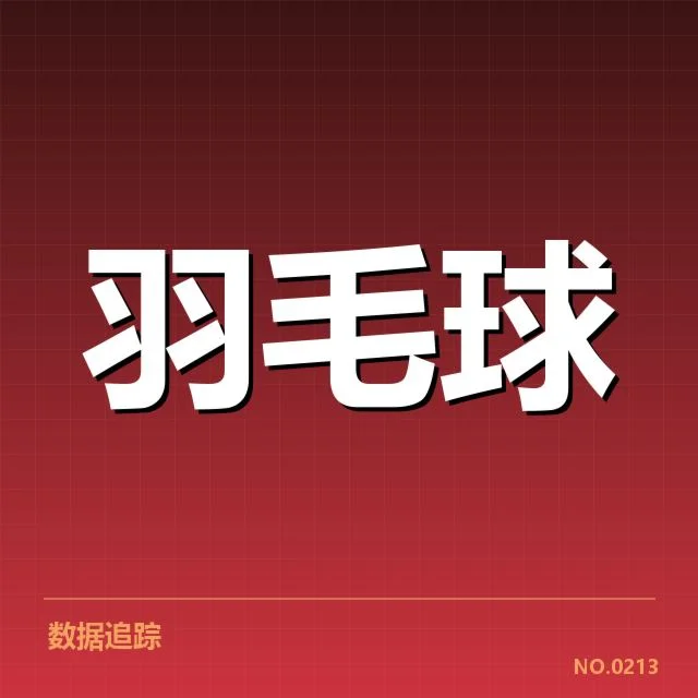 台北羽毛球队新老交替:实力传承与未来走向何去何从